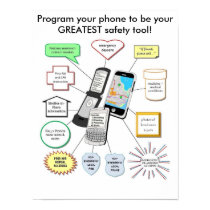 Program for Safety posters