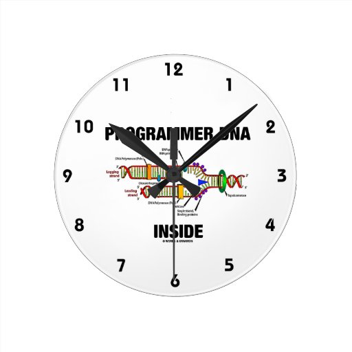 Dna Clock