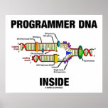 Programmer DNA Inside (DNA Replication) Posters