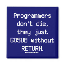 Programmers Don't Die Magnet