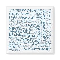 Programmers Have Multiple Programming Skills Magnet
