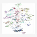 Programmers Search Relations Network Poster