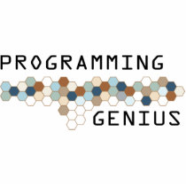 Programming Genius photo sculptures