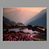 PROGRESS postcards