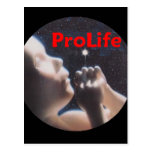 ProLife Postcard