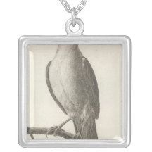 Promerops or Bee Eater of California Necklace