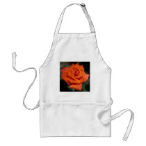 Prominent Rose aprons by fstasu50 Prominent Rose aprons