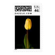 Promise of spring postage