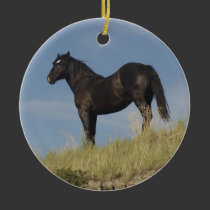 Promise ornaments