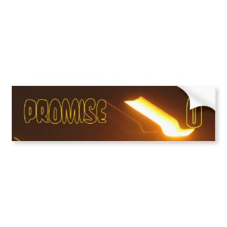 PROMISE YOU bumpersticker