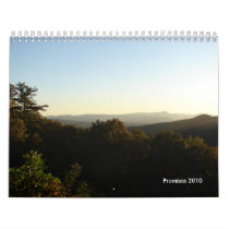 Promises 2010 calendars