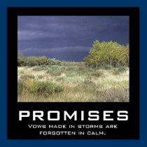PROMISES posters