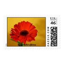 Promotional Stamp