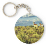 Pronghorn Antelope Keychain
