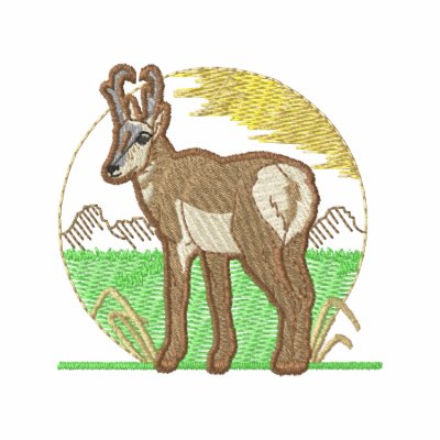 Pronghorn Pronghorn