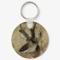 Pronghorn keychains
