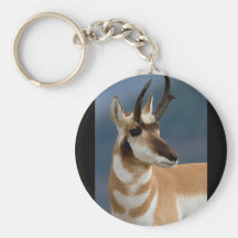Pronghorn Portrait Keychain