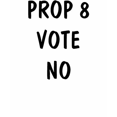 PROP 8 VOTE NO T-shirt (women's) by animaducta