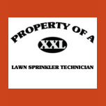 lawn, sprinkler, technician, lawn, sprinkler,