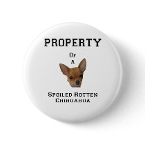 Property of a Spoiled Rotten Chihuahua buttons