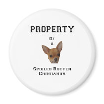 Property of a Spoiled Rotten Chihuahua Magnet