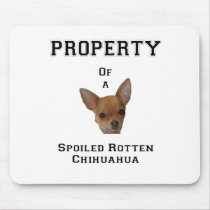 Property of a Spoiled Rotten Chihuahua mousepads by kathyspets Property of a Spoiled Rotten Chihuahua mousepads