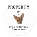Property of a Spoiled Rotten Chihuahua stickers
