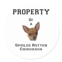 Property of a Spoiled Rotten Chihuahua stickers by kathyspets Property of a Spoiled Rotten Chihuahua stickers