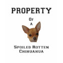 Property of a Spoiled Rotten Chihuahua t-shirts