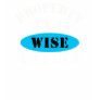 Property of a Wise Latina T-shirt