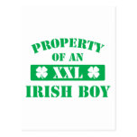 Property Of An Irish Boy Post Cards