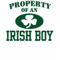 Property of an Irish Boy shirt