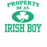 Property of an Irish Boy T Shirt