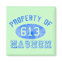 Property of Hashem Magnets