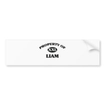 Property of LIAM Bumper Stickers