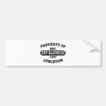 Property of New Hampshire shirts Bumper Stickers