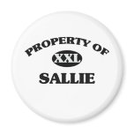Property of SALLIE magnets