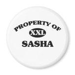 Property of SASHA magnets