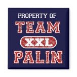 Property of Team Palin magnets