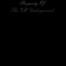 Property of VMU t-shirts