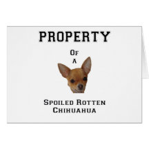 Propiedad de una chihuahua putrefacta estropeada tarjeton