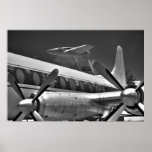 Props & Tails in Black & White Posters