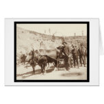 Prospectors with Gold Fever SD 1889