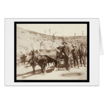 Prospectors with Gold Fever SD 1889 cards by lc_grabill Prospectors with Gold Fever SD 1889 cards