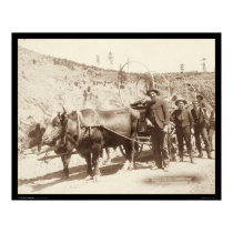 Prospectors with Gold Fever SD 1889 posters