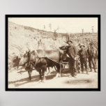Prospectors with Gold Fever SD 1889 posters