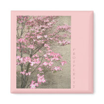 Prosperity magnets