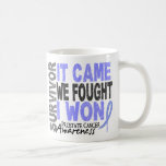 Prostate Cancer Survivor It Came We Fought I Won Mugs