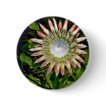 Protea Bloom - Maui buttons