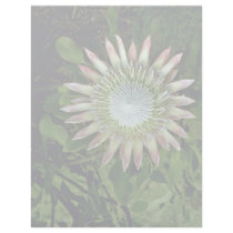 Protea Bloom - Maui flowers Letterhead